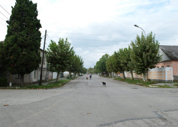Улица в Гудаута, Абхазия. Фото 1 – фотографии Абхазии