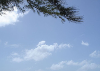 Miami Beach, South Coast, Barbados – фотографии Барбадоса