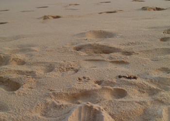 Хиккадува, Шри-Ланка, фото № 52517 – фотографии Шри-Ланки