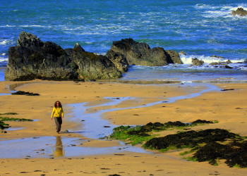 Уэльс, Великобритания, фото № 67889 – фотографии Великобритании