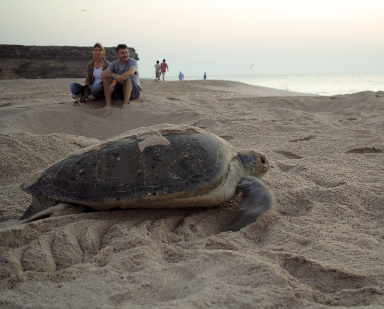 Сур, Оман, фото № 78174 – фотографии Омана