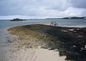 Берег острова Абако, Багамские острова – фотографии Багамских островов