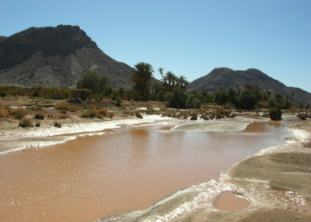 Загора, Марокко, фото № 7415 – фотографии Марокко