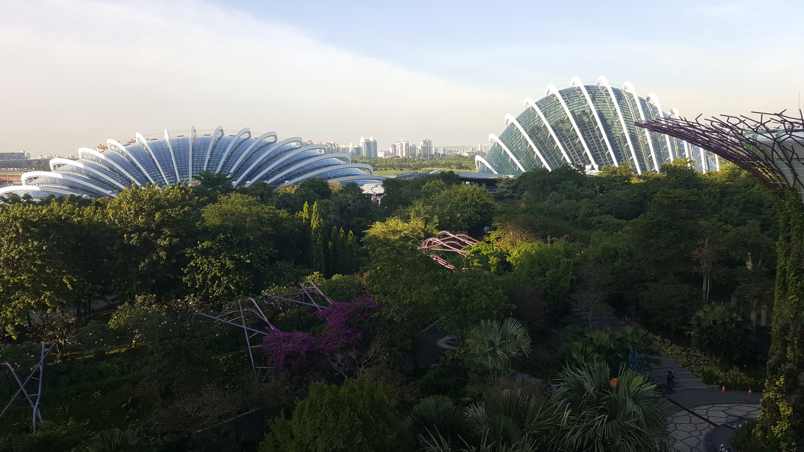 Сады у Залива (Gardens by the Bay). Фото 1 – фотографии Сингапура