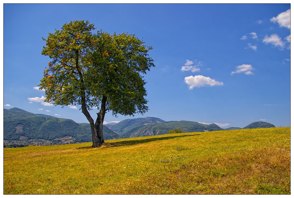 Поле в Жабляк, Черногория – фотографии Черногории