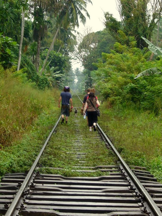 Коcгода, Шри-Ланка, фото № 51537 – фотографии Шри-Ланки