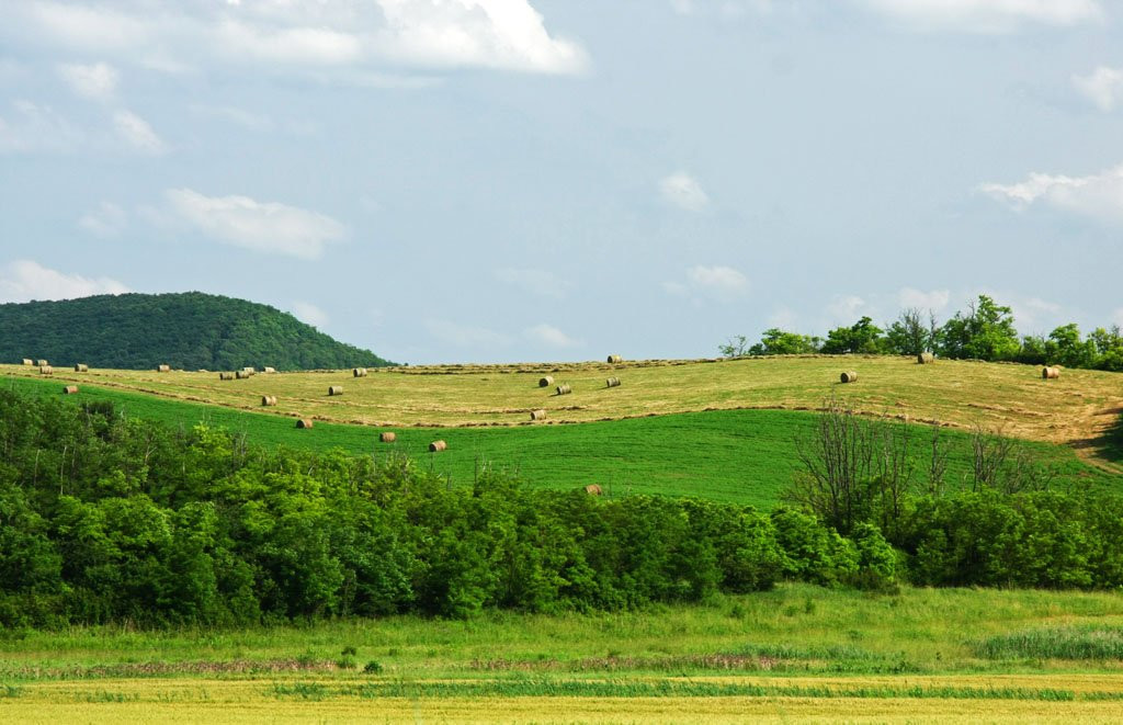 Вац, Венгрия, фото № 70129 – фотографии Венгрии