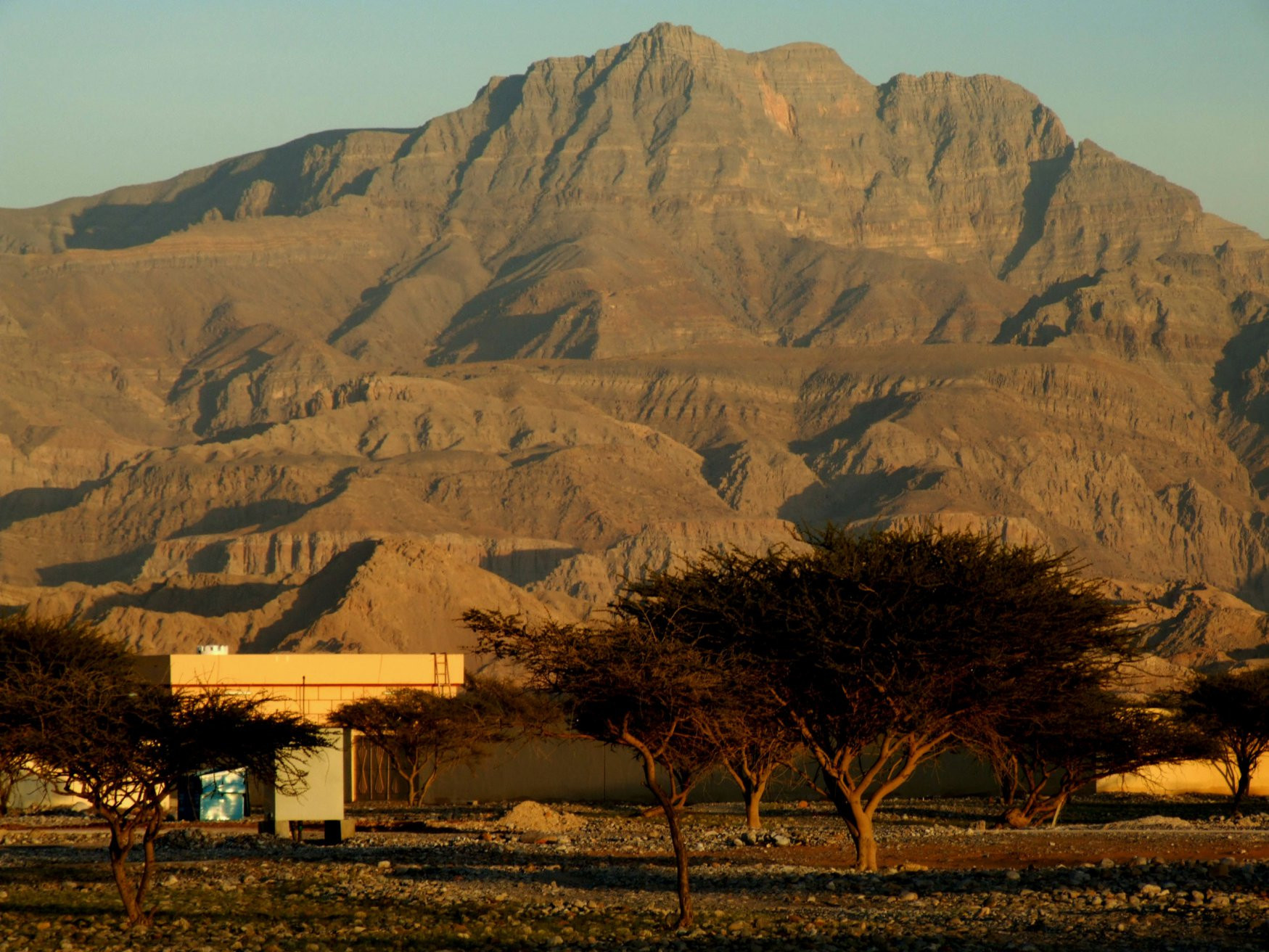 Рас-аль-Хайма, ОАЭ, фото № 61075 – фотографии ОАЭ