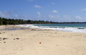 Лес-Салинес (Les Salines) на острове Мартиника – фотографии Мартиники