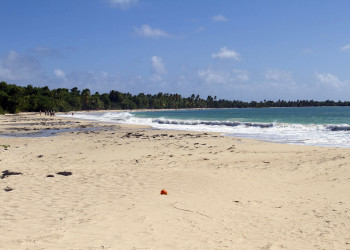 Лес-Салинес (Les Salines) на острове Мартиника – фотографии Мартиники
