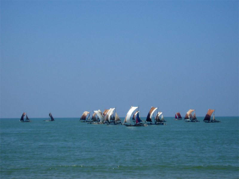 Негомбо, Шри-Ланка, фото № 51912 – фотографии Шри-Ланки