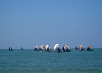 Негомбо, Шри-Ланка, фото № 51912 – фотографии Шри-Ланки