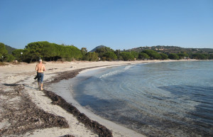 Пляж в Порто-Векьо, Франция – фотографии Франции