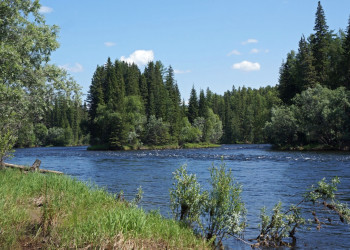 Река Хамсара или Хам-Сыра, по-тувински – фотографии России
