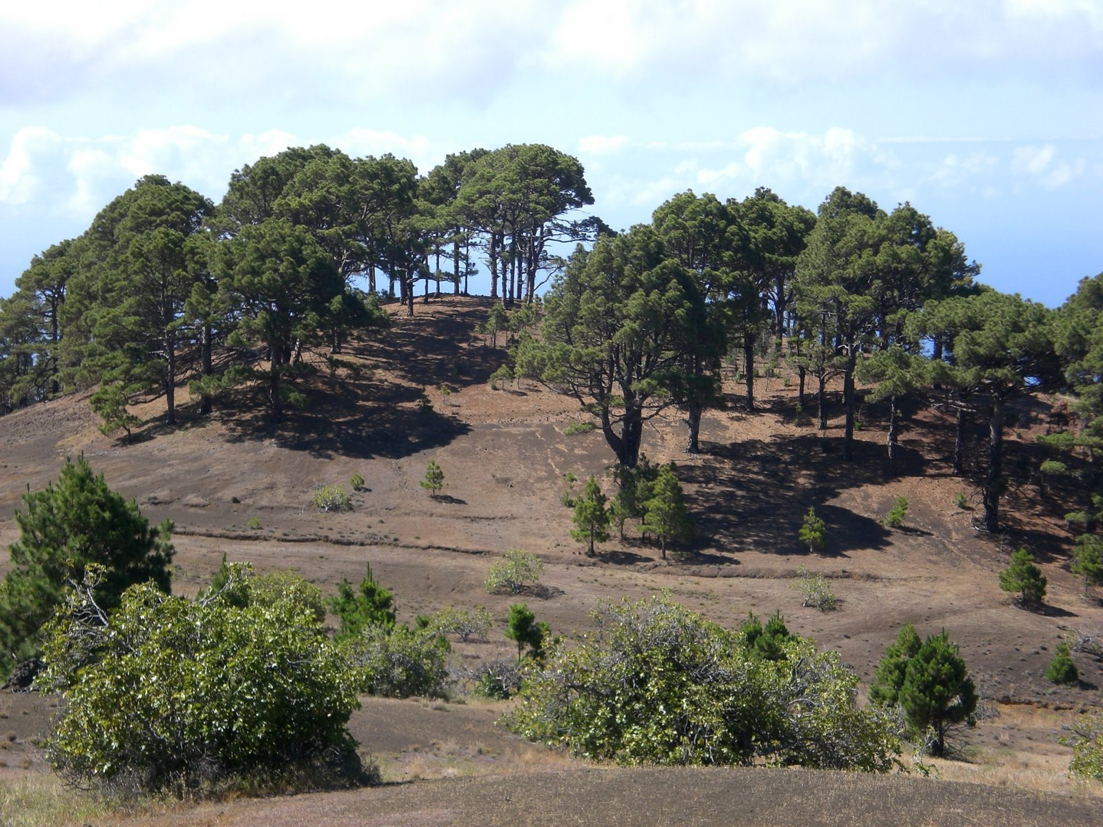 Эль-Йерро остров, Канарские острова, фото № 34691 – фотографии Канарских островов