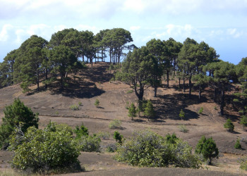 Эль-Йерро остров, Канарские острова, фото № 34691 – фотографии Канарских островов