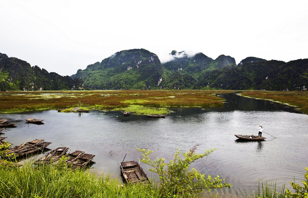 Природа заповедника Ван-Лонг в провинции Ниньбинь – фотографии Вьетнама