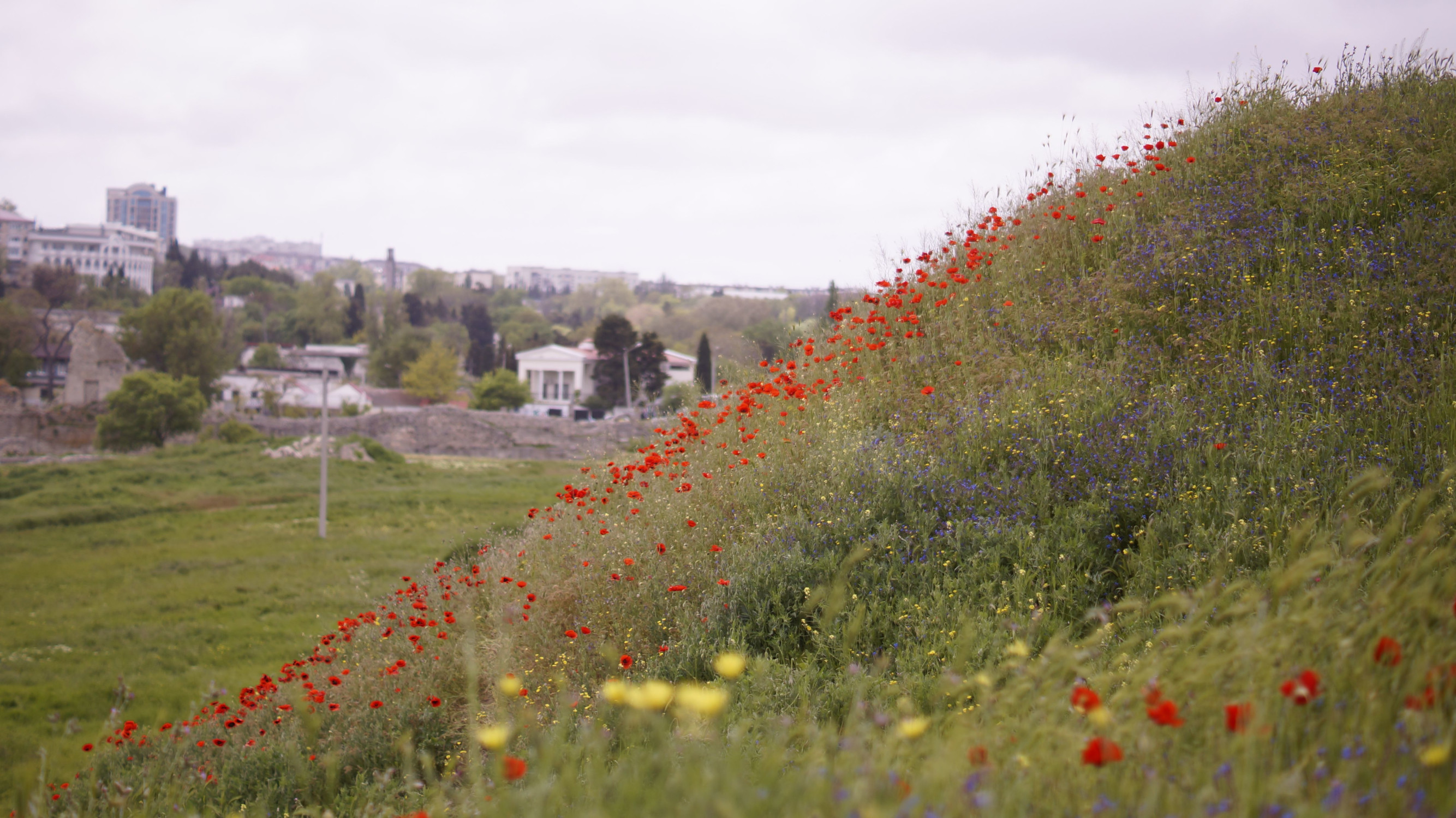 Херсонес Таврический – фотографии России