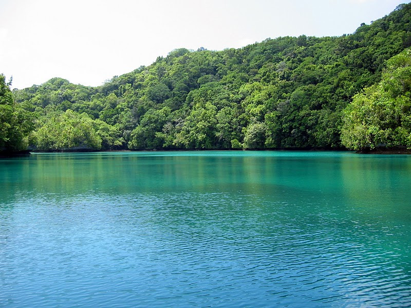 Острова Рок (Rock Islands) в Палау – фотографии Палау