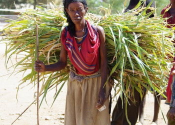 Женщина. Фото 7 – фотографии Эфиопии