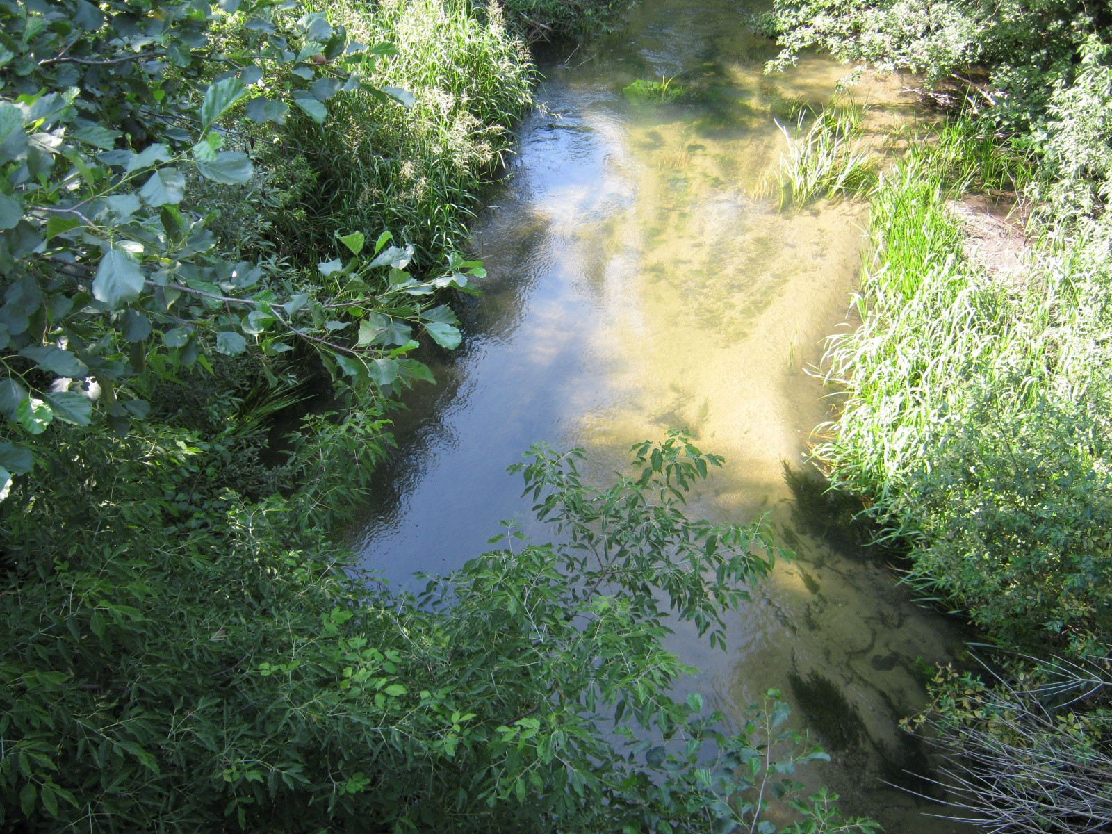 ручей – фотографии России