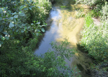 ручей – фотографии России