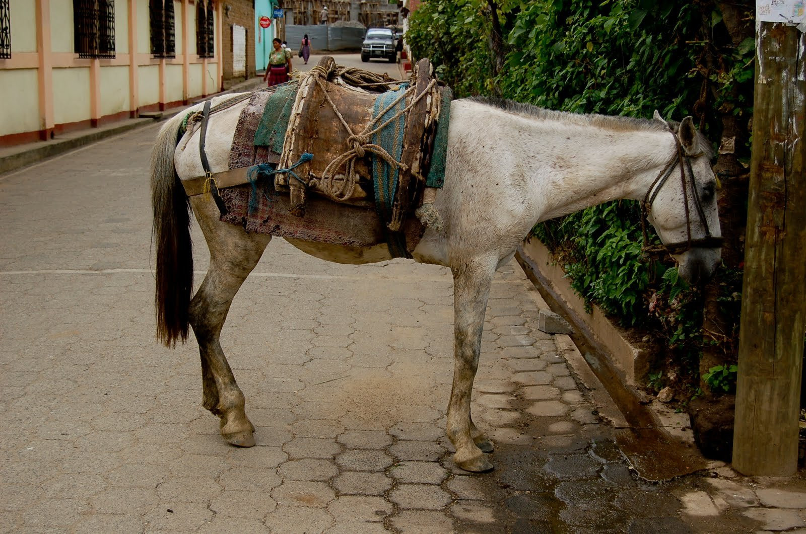 Сан Педро ла Лагуна, Атитлан озеро, Гватемала, фото № 70923 – фотографии Гватемалы
