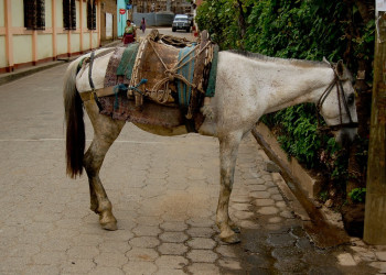 Сан Педро ла Лагуна, Атитлан озеро, Гватемала, фото № 70923 – фотографии Гватемалы