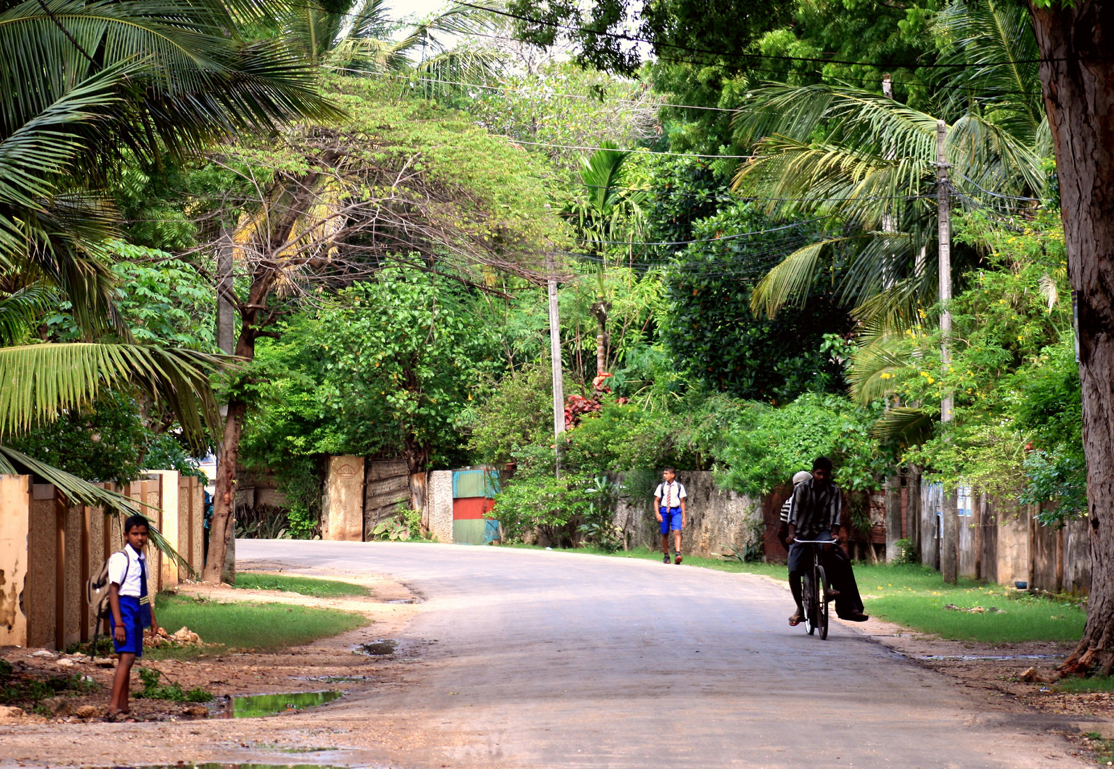 Один из районов Джафны – фотографии Шри-Ланки