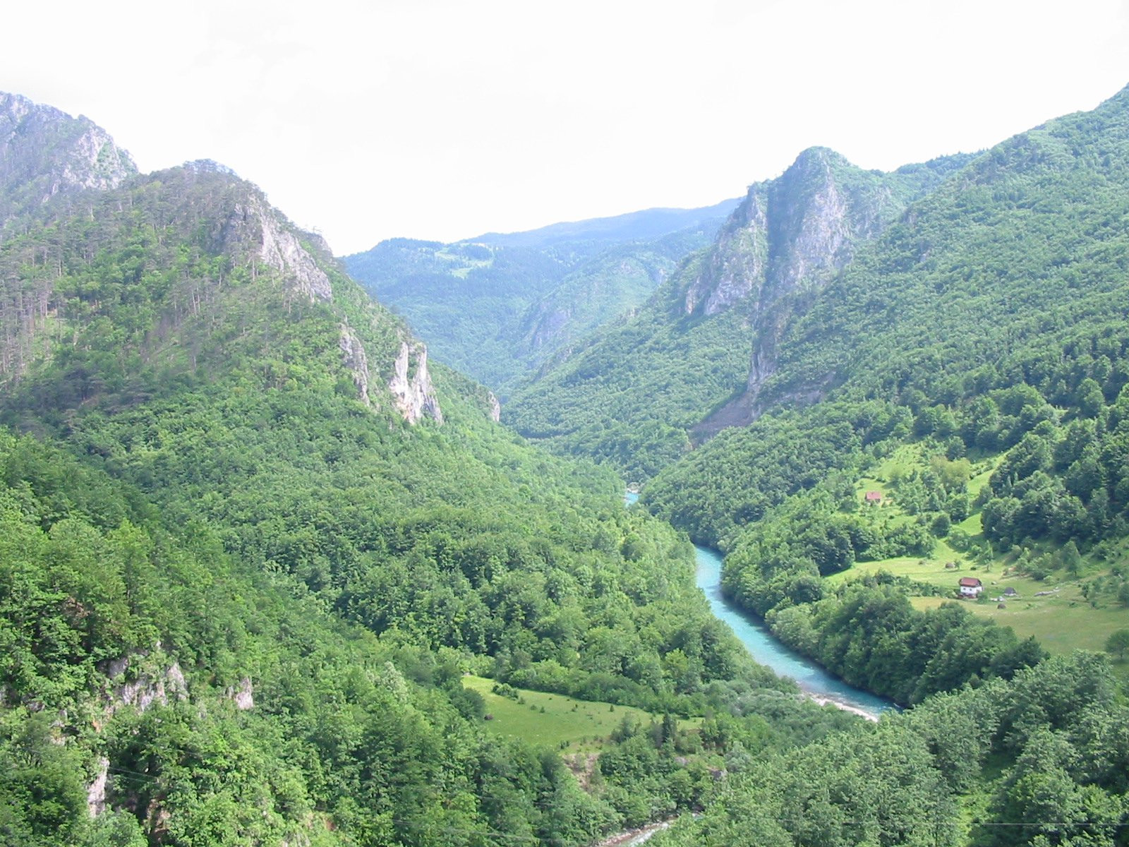 Тара Каньон – фотографии Черногории