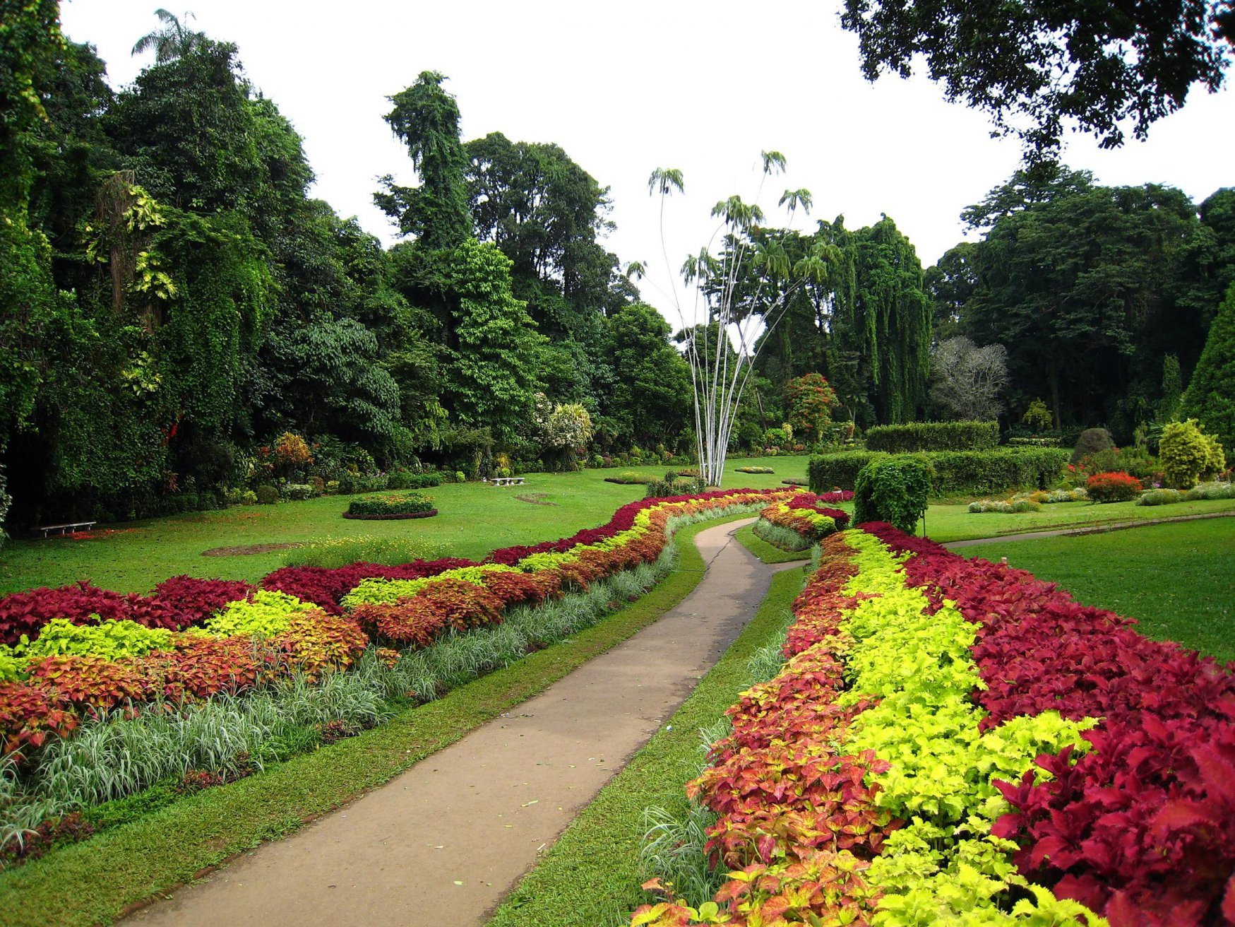 Канди, Шри-Ланка, фото № 51398 – фотографии Шри-Ланки