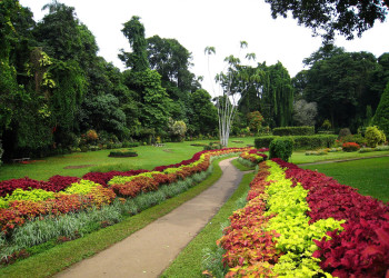 Канди, Шри-Ланка, фото № 51398 – фотографии Шри-Ланки