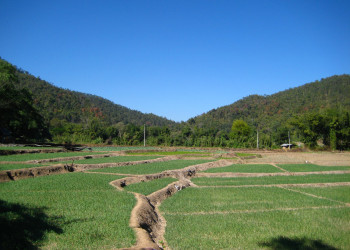 Природа в Чианг-Май, Тайланд – фотографии Таиланда