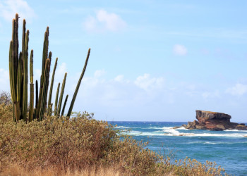 Окрестности Сент-Ан. Юг Мартиники. Фото 1 – фотографии Мартиники