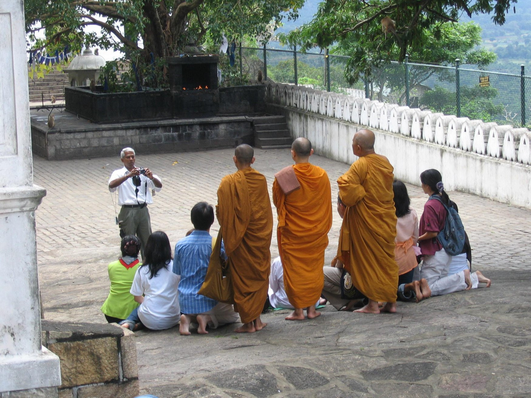 Дамбулла, Шри-Ланка, фото № 51070 – фотографии Шри-Ланки
