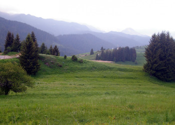 Природа в Девине, Болгария – фотографии Болгарии