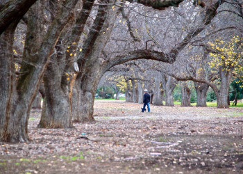 Аделаида (Adelaide), Австралия. Фото 3 – фотографии Австралии