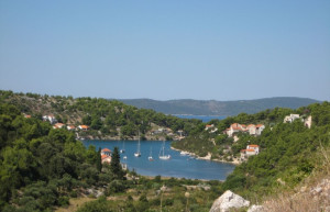 Природа в Брач, Хорватия – фотографии Хорватии