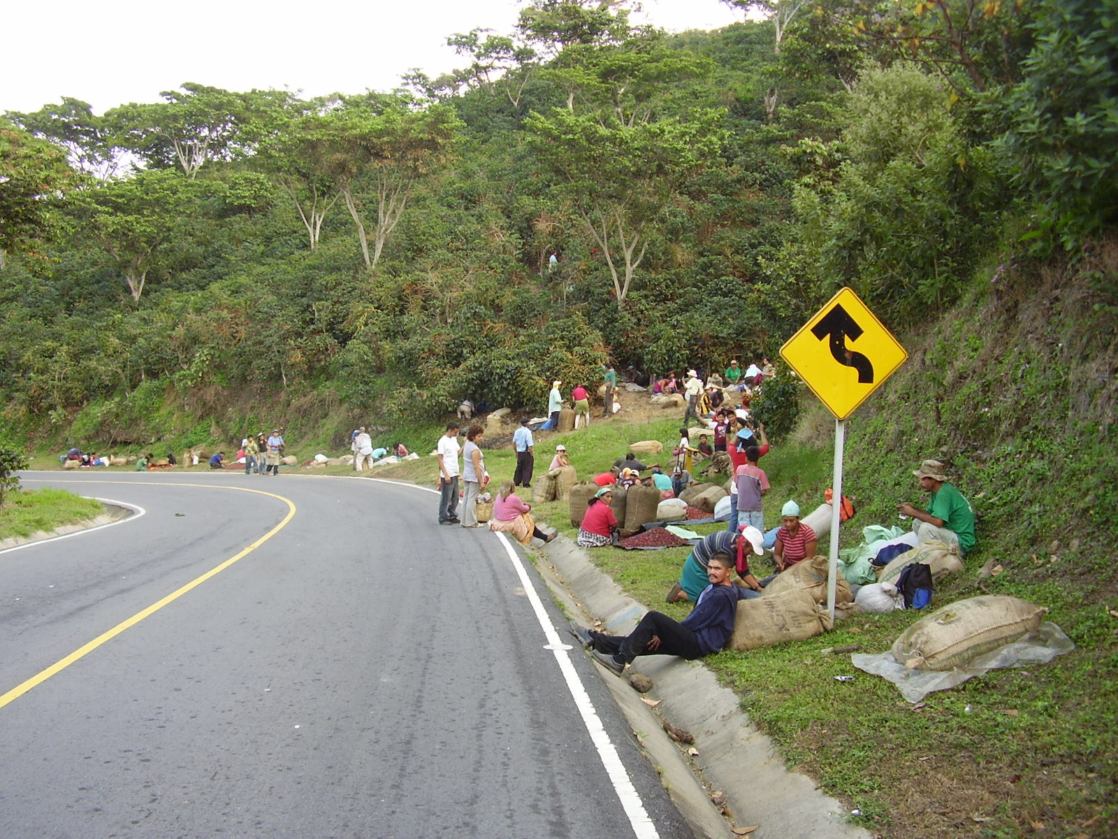 Местные с мешками кофе – фотографии Сальвадора