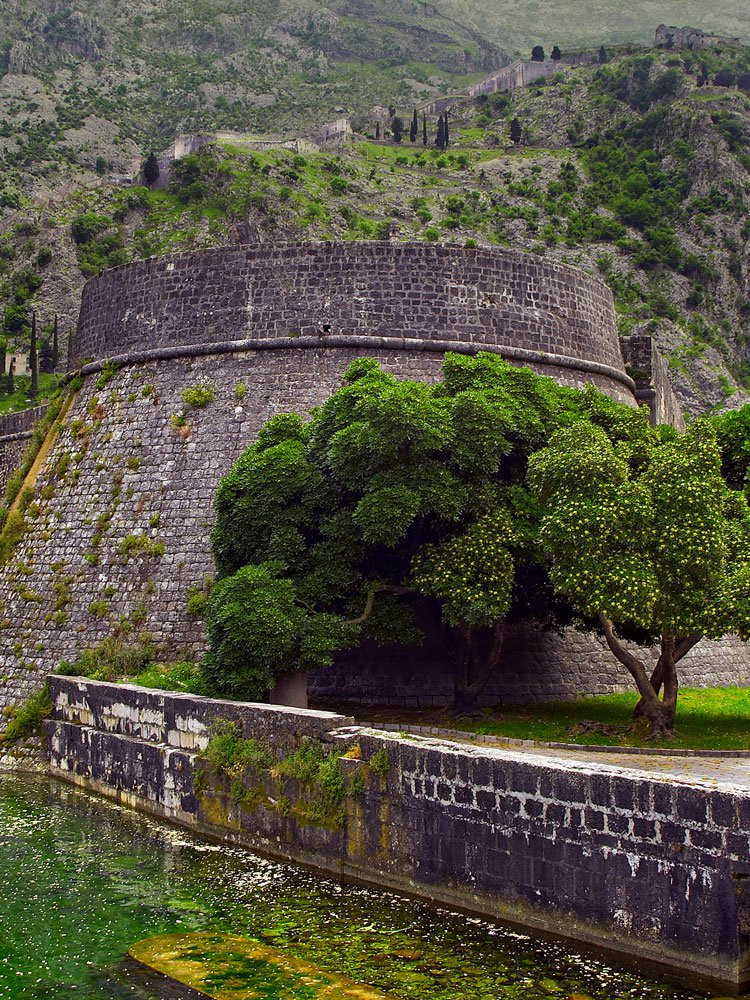 Набережная в Которе, Черногория. Фото 7 – фотографии Черногории