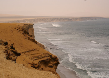 Заповедник Паракас на западе Перу – фотографии Перу