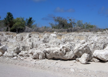Добыча фосфоритов оставила след по всему острову Науру – фотографии Науру