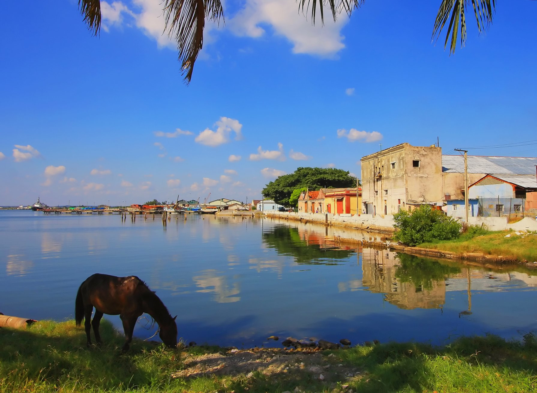 Дома на берегу в Сьенфуэгосе, Куба. Фото 3 – фотографии Кубы