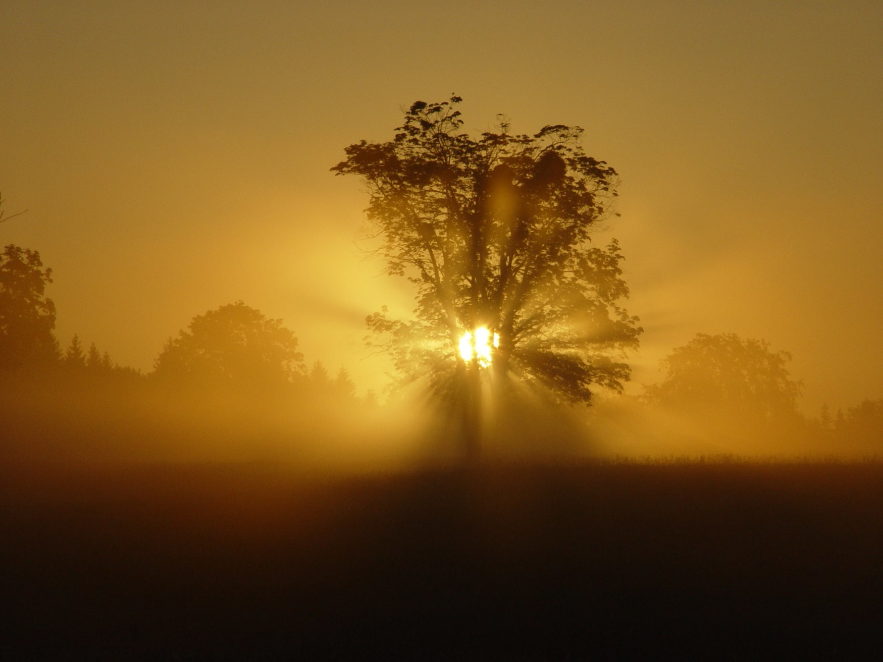 Бюкк Национальный Парк, Венгрия, фото № 70069 – фотографии Венгрии