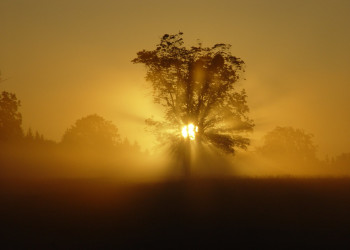Бюкк Национальный Парк, Венгрия, фото № 70069 – фотографии Венгрии