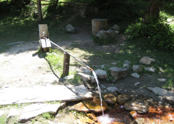 Шови, Грузия, фото № 73740 – фотографии Грузии