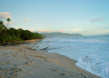 Плайя Санта Тереса, Пунтаренас провинция, Коста-Рика, фото № 40940 – фотографии Коста-Рики