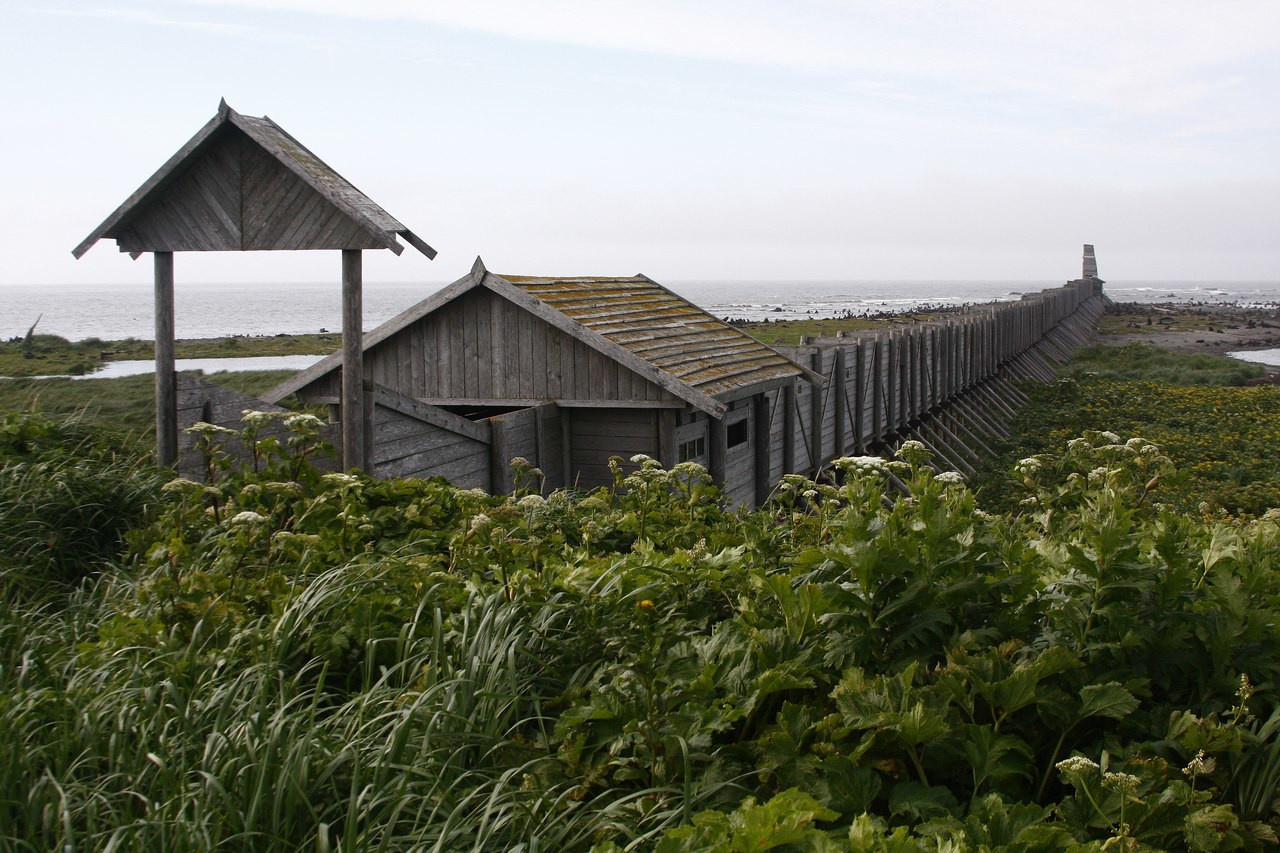 Командорский острова, Россия. Фото 7 – фотографии России