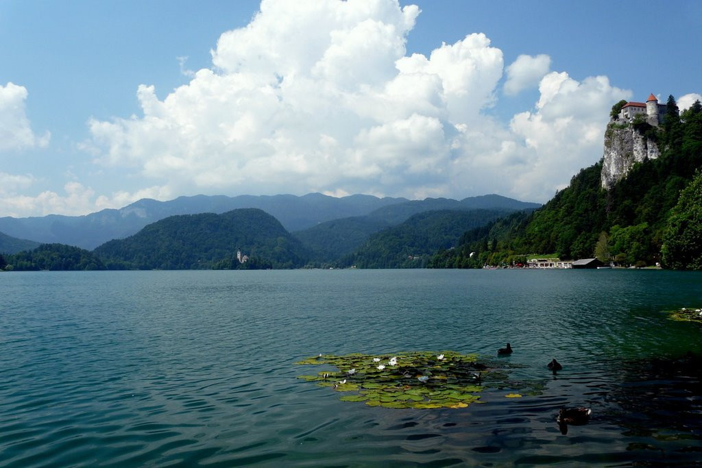Блед Озеро, Словения, фото № 56819 – фотографии Словении
