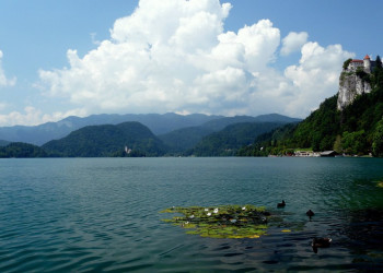 Блед Озеро, Словения, фото № 56819 – фотографии Словении